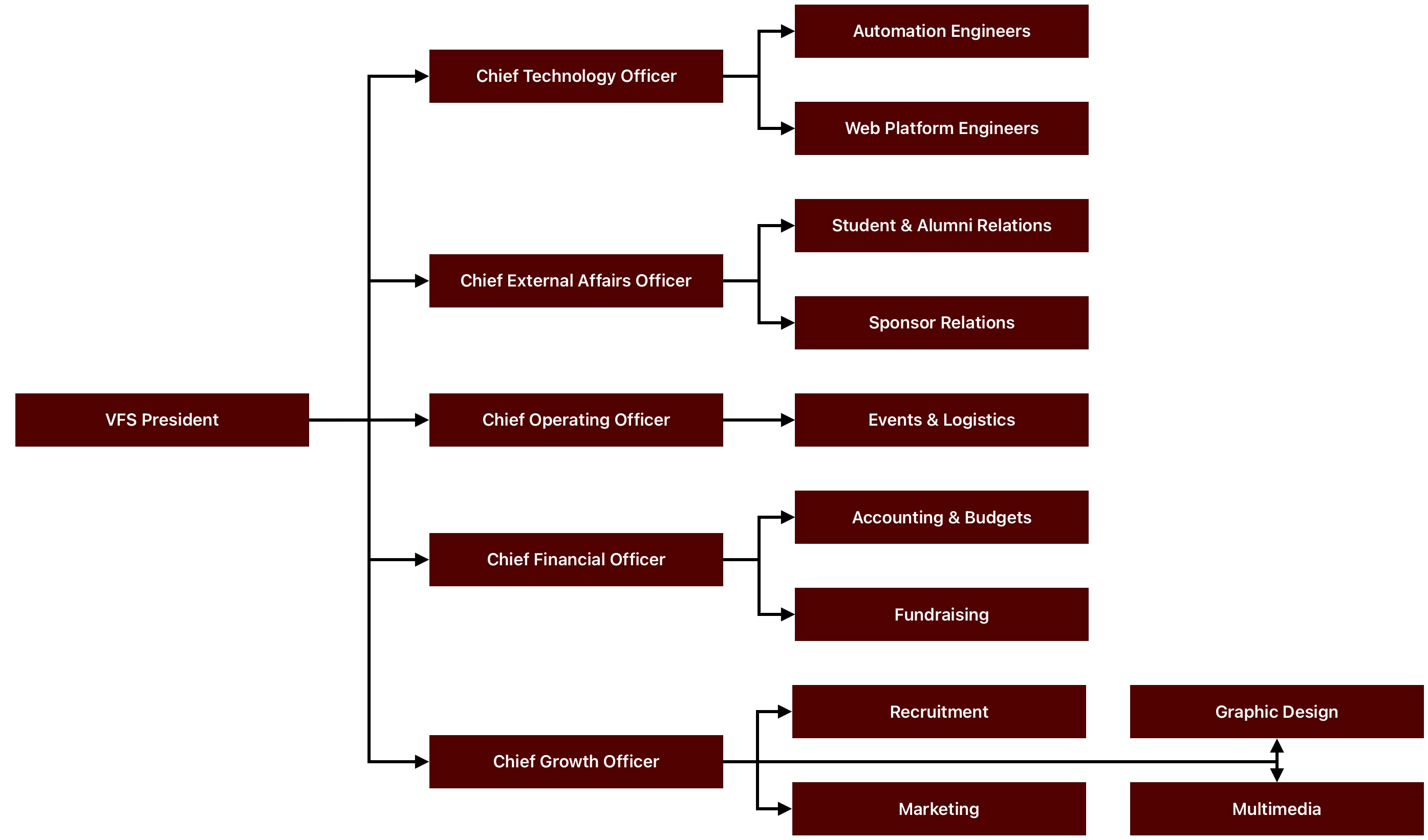 VFS Officers team structure image